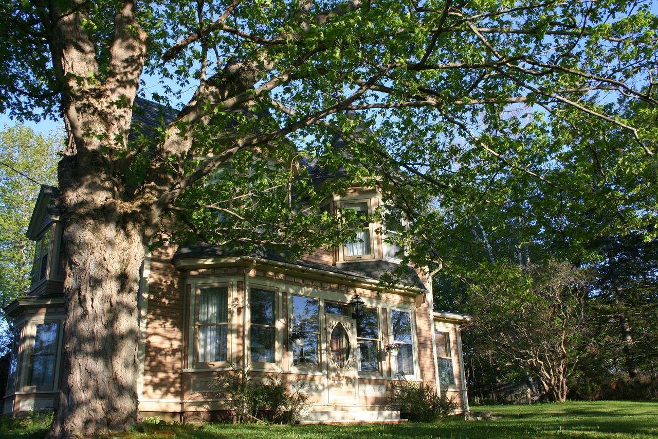 Sackville Bed And Breakfast Exteriör bild